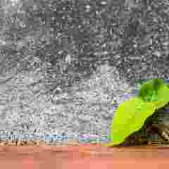 InfoNet article splash image